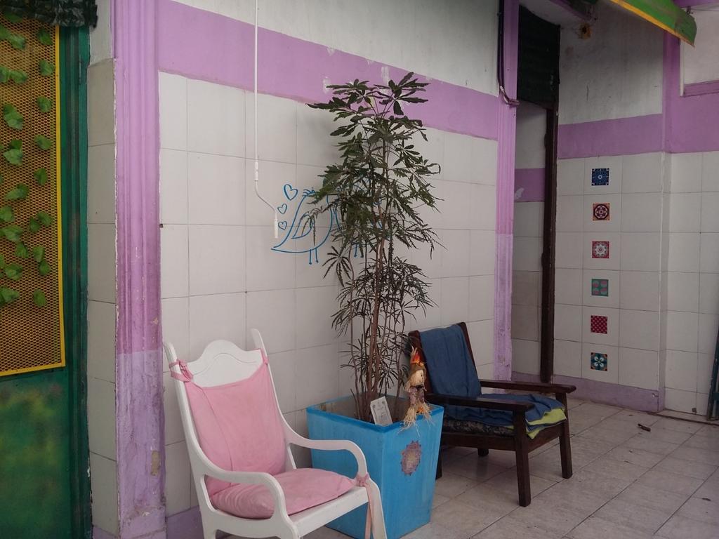 Hospedaje La Rana Buenos Aires Exteriér fotografie